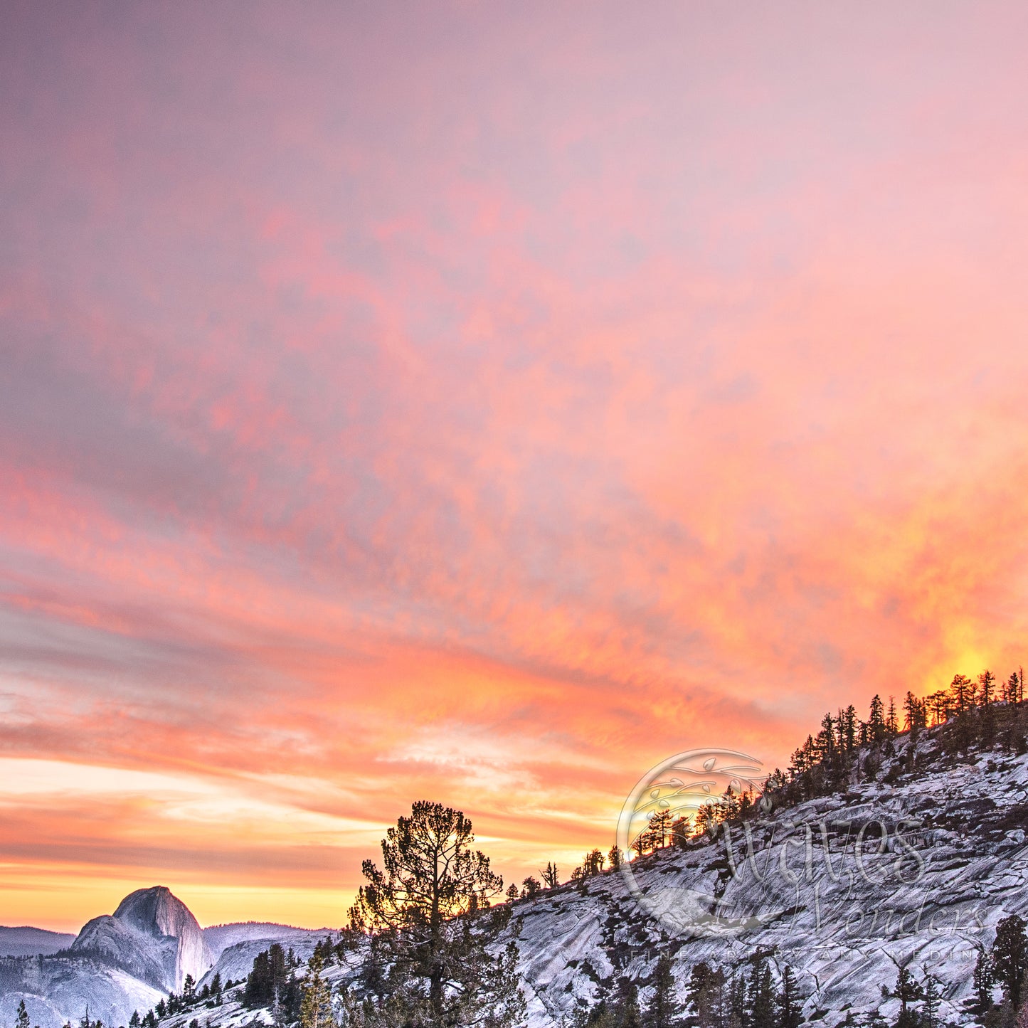 a sunset over a snowy mountain with trees in the foreground
