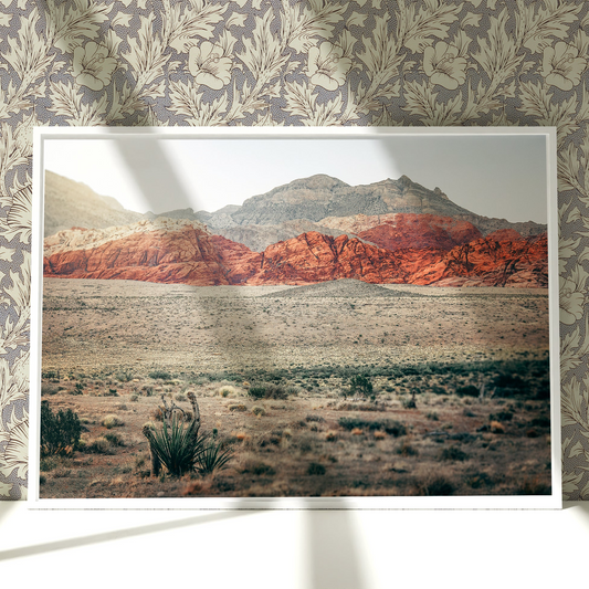 a picture of a desert with mountains in the background