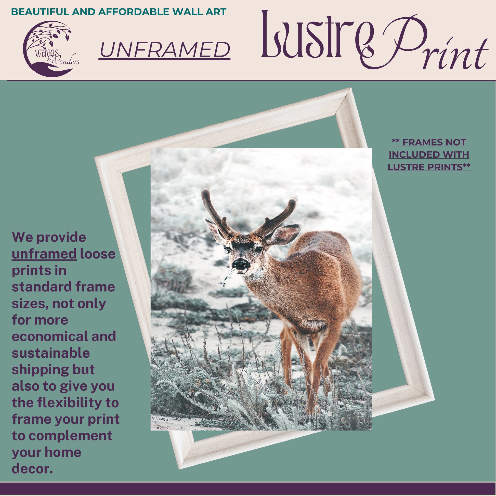 a picture of a deer in a frame