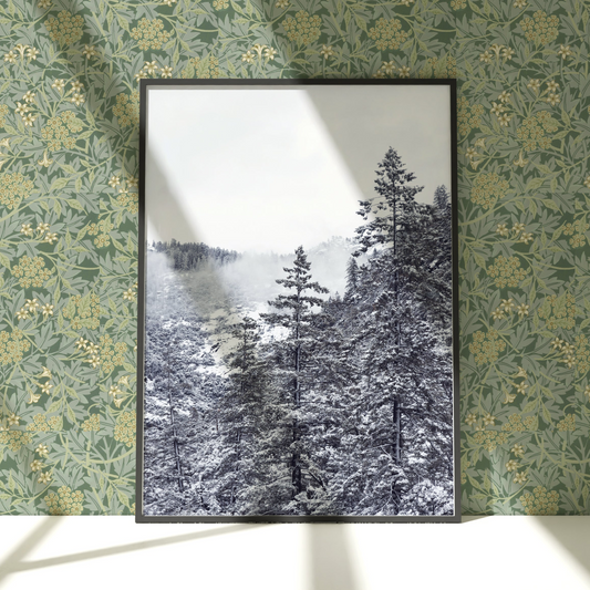 a picture of a forest is hanging on a wall
