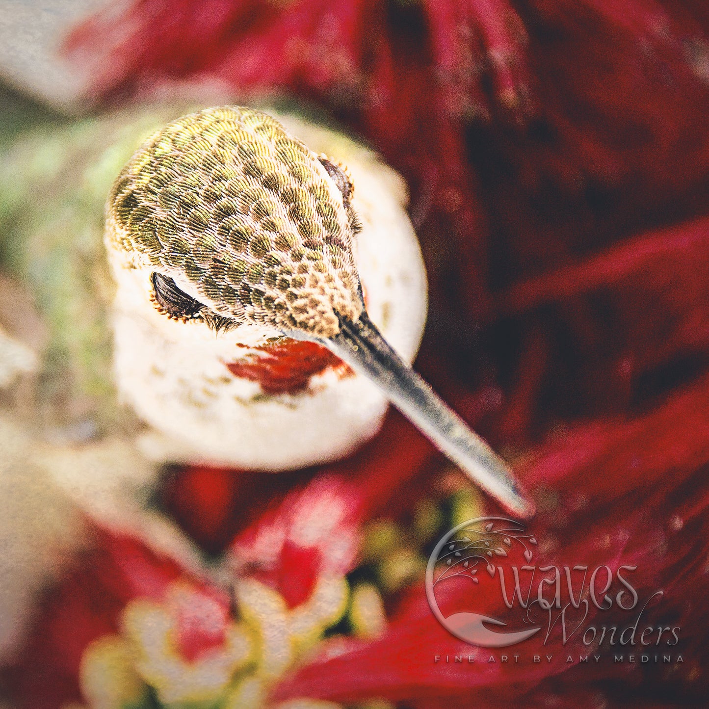 a close up of a bird's head on a red flower