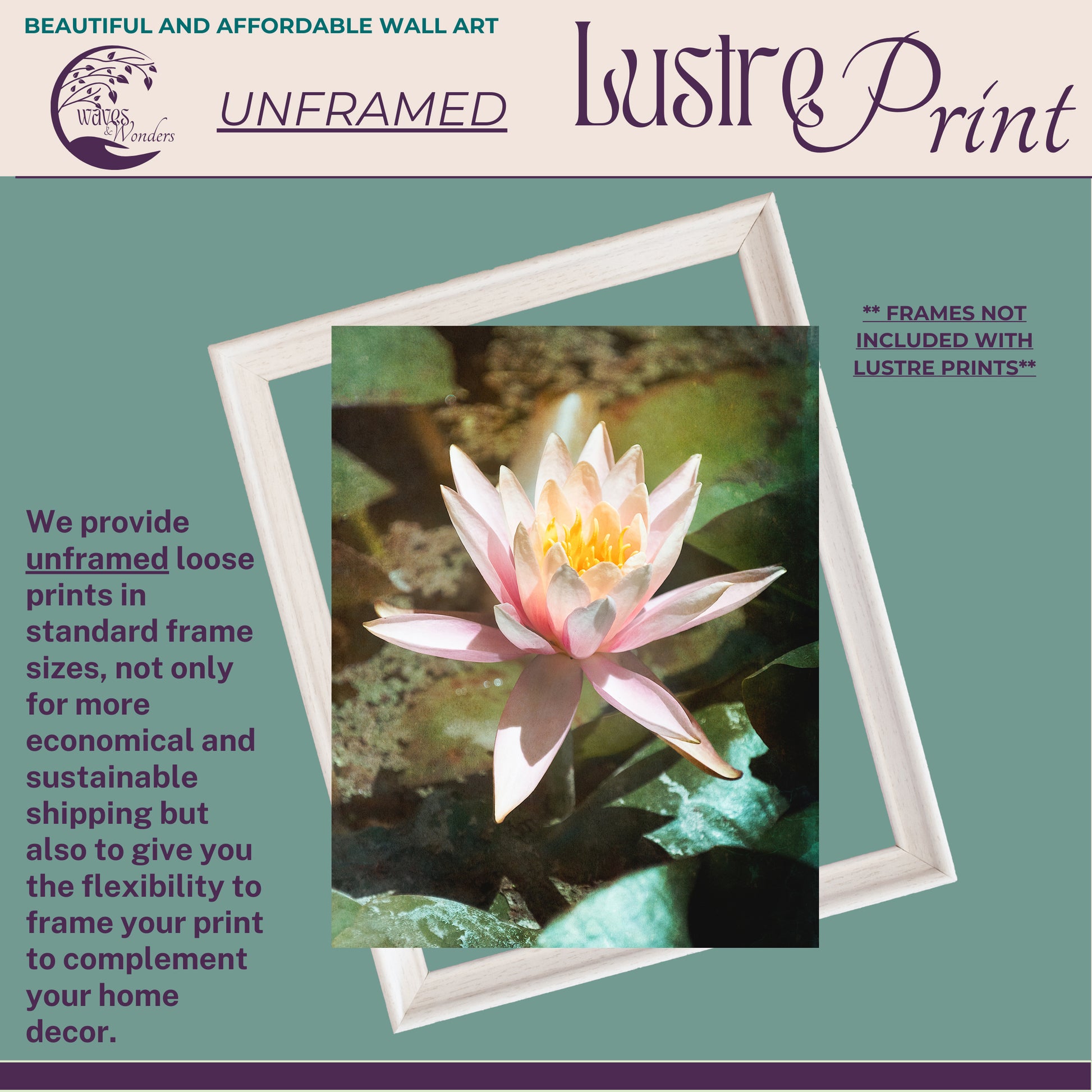 a picture of a pink water lily in a frame