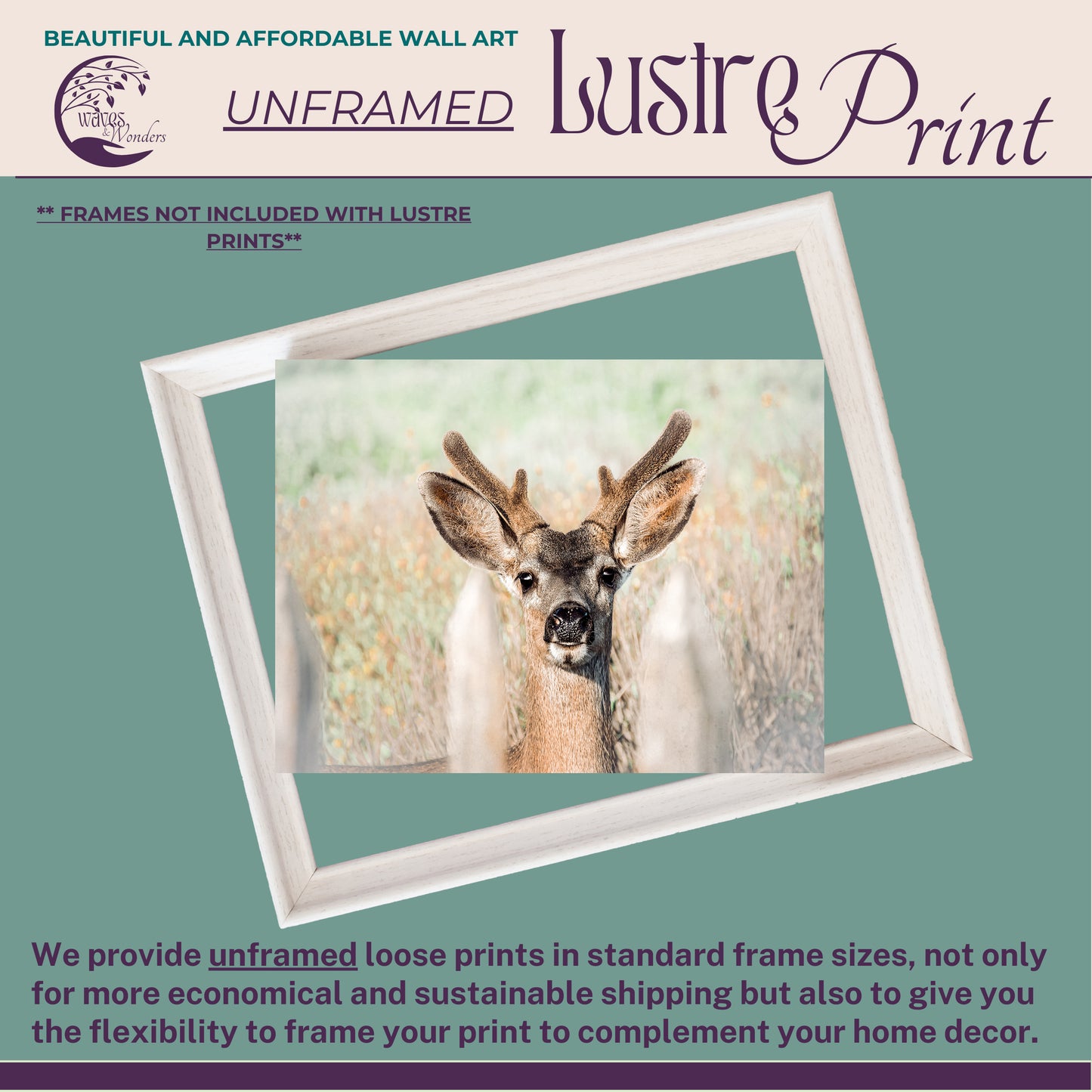 a picture of a deer in a frame