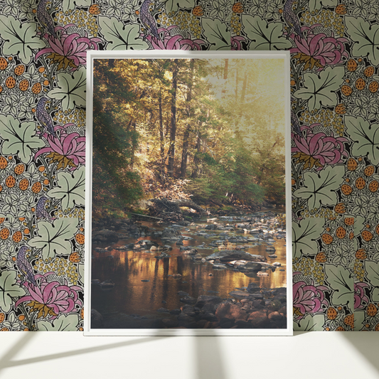 a picture of a stream in the woods