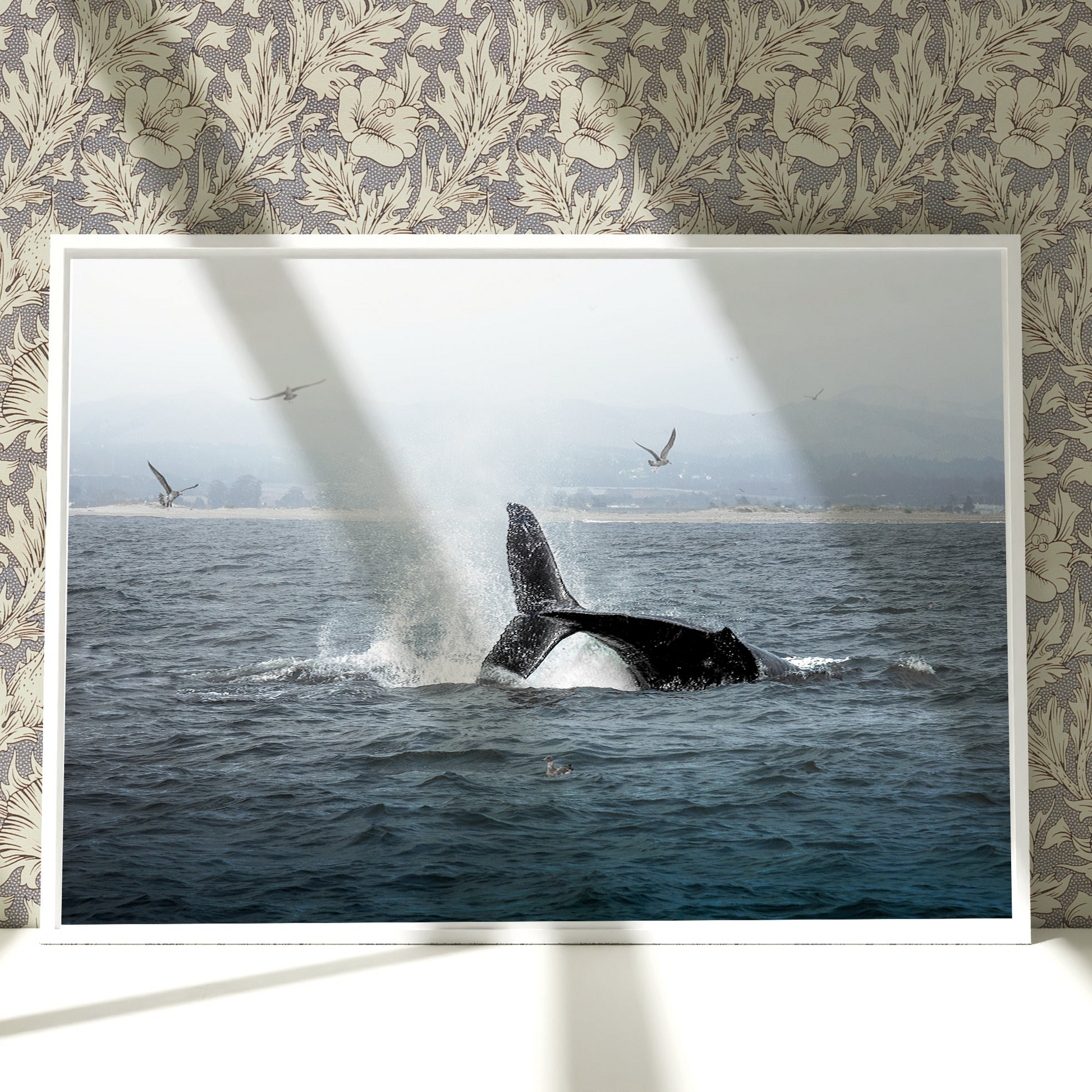 a picture of a whale jumping out of the water