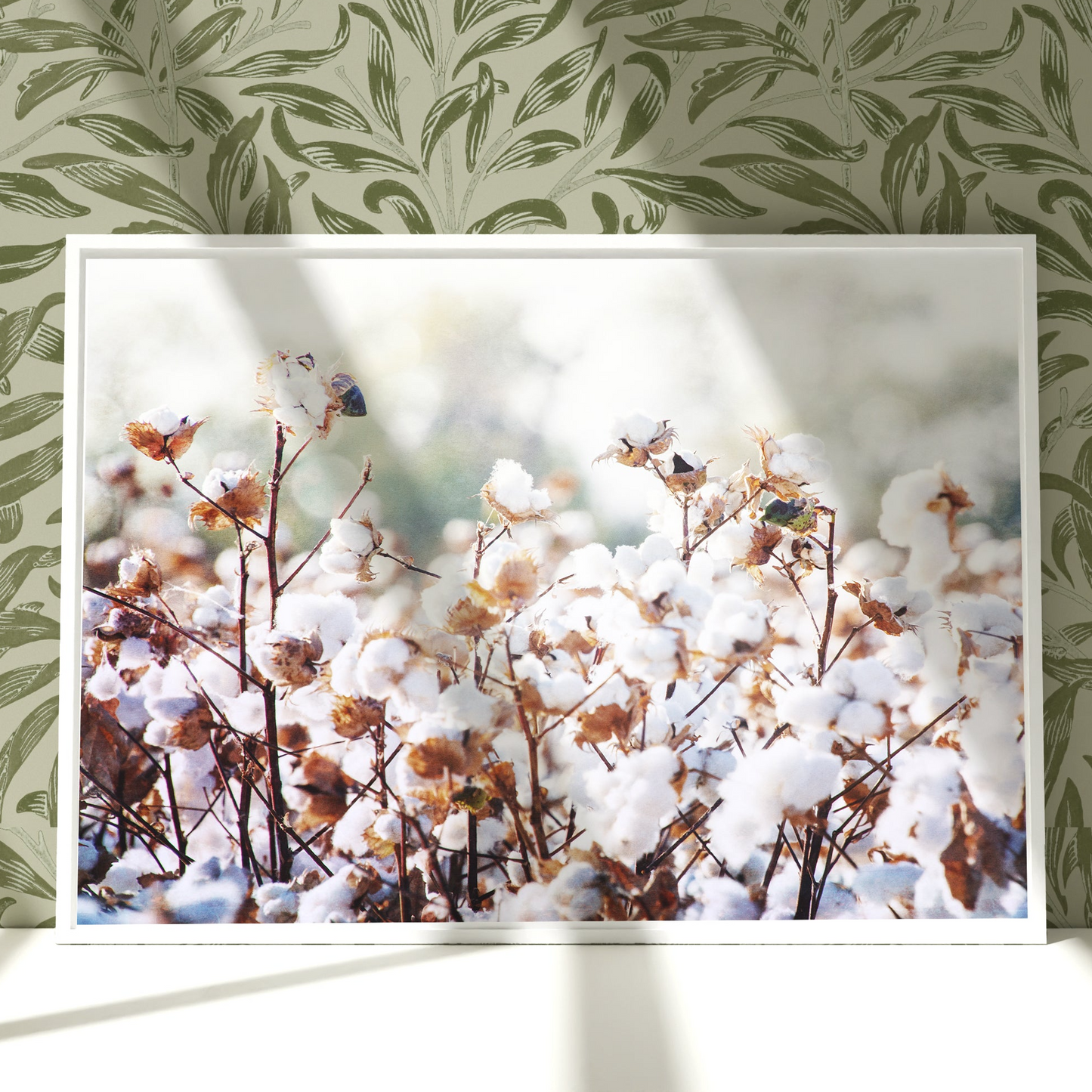 a picture of cotton flowers in a frame