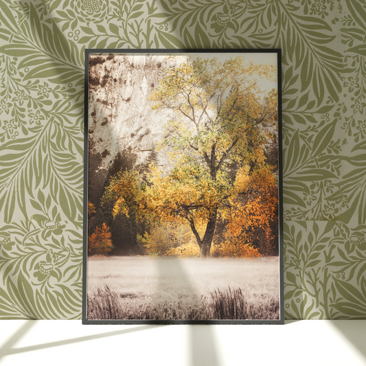 a picture of a tree in a frame on a wall