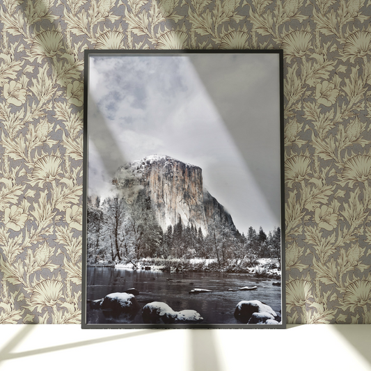 a picture frame hanging on a wall with a picture of a mountain in the background
