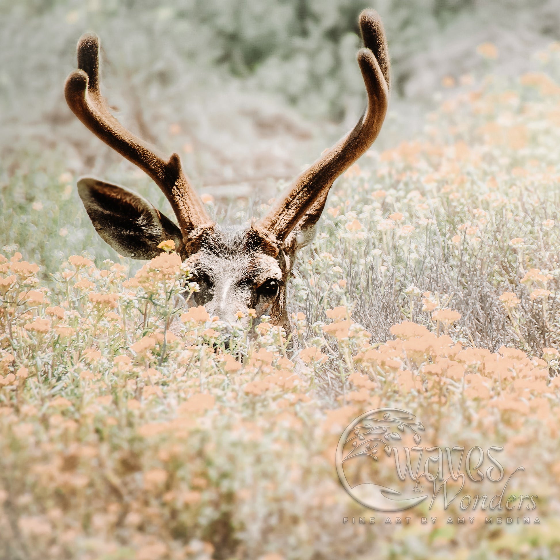 a close up of a deer's head in a field of flowers