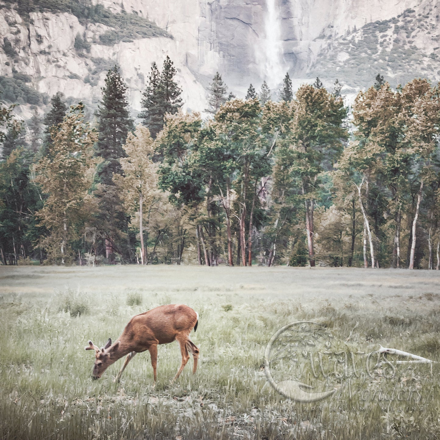 a deer grazing in a field with a waterfall in the background