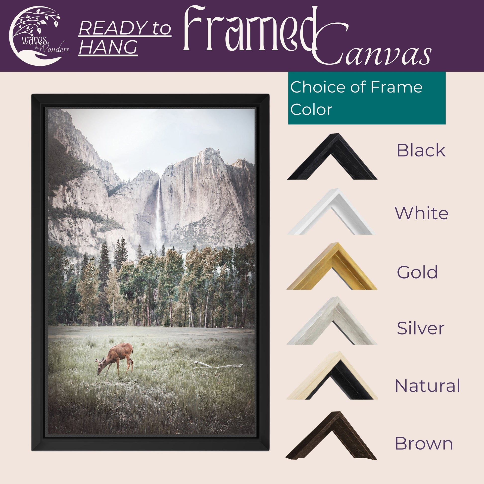 a frame with a picture of a moose in a field