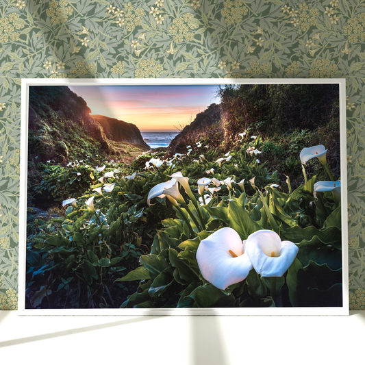 a picture of some flowers in a room