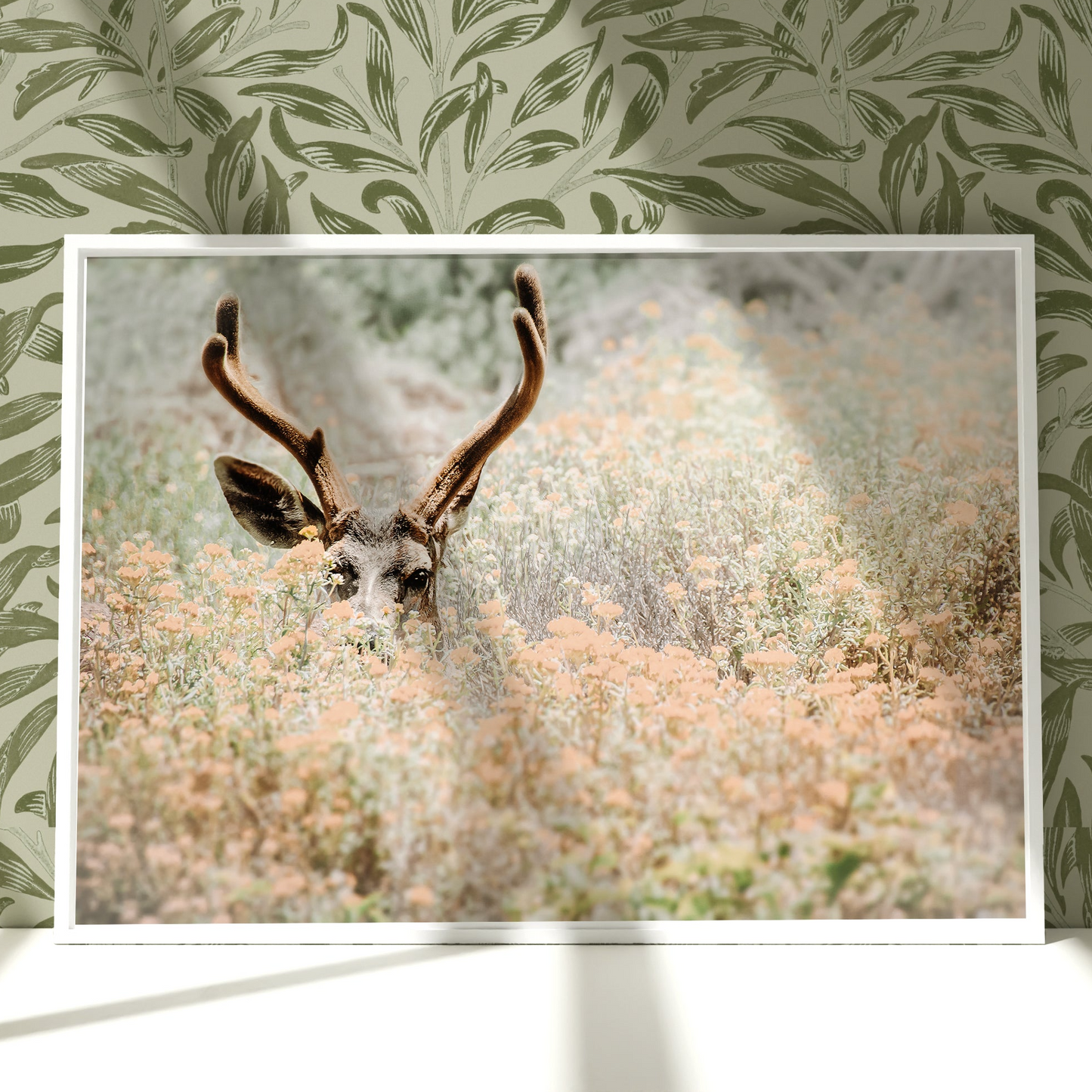 a picture of a deer in a field of grass