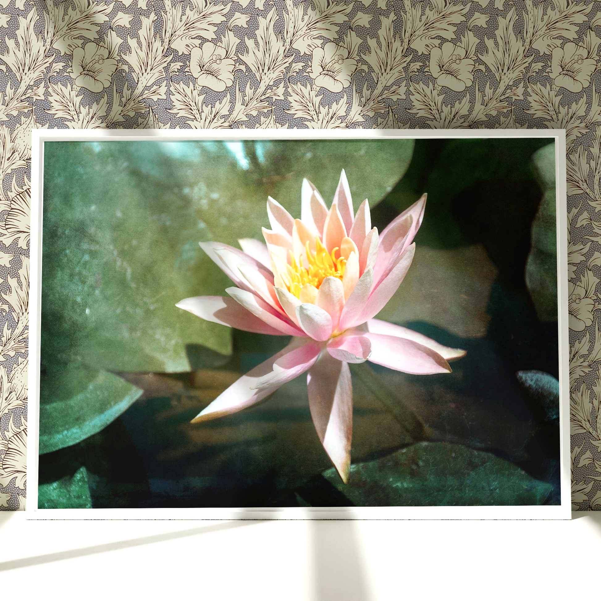 a picture of a pink water lily in a pond