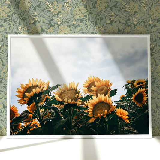 a picture of a bunch of sunflowers in a frame