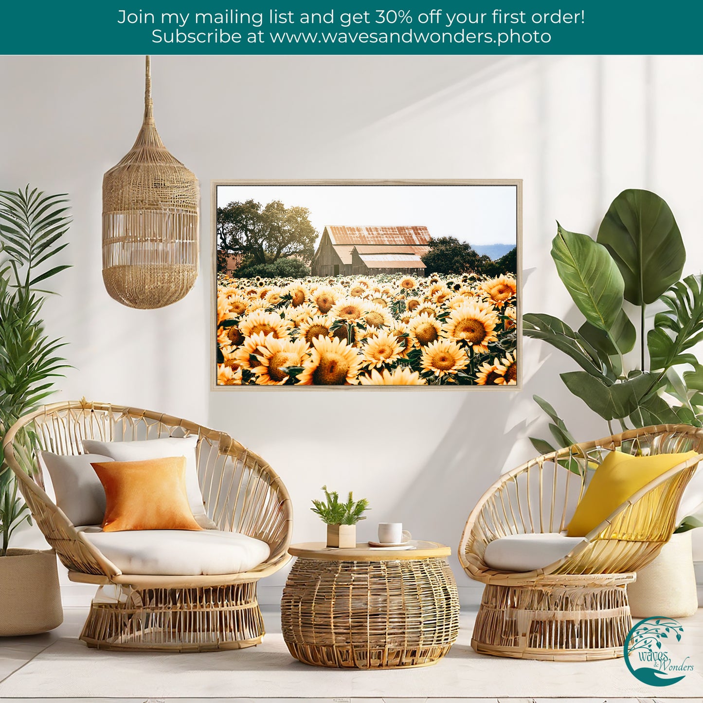 a living room with wicker chairs and a picture of a field of sunflower