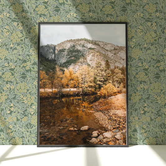 a picture hanging on a wall next to a river