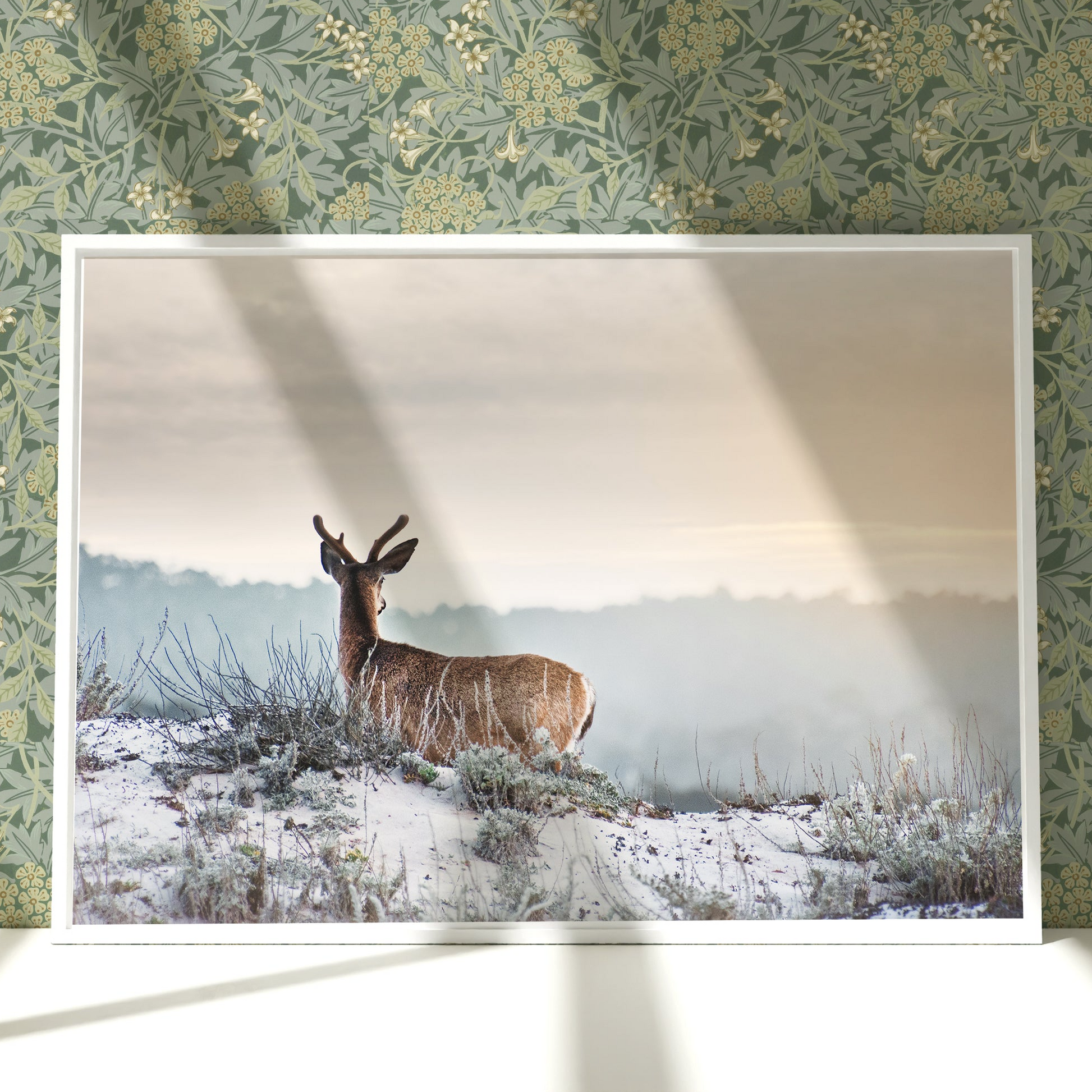 a picture of a deer standing in the middle of a field