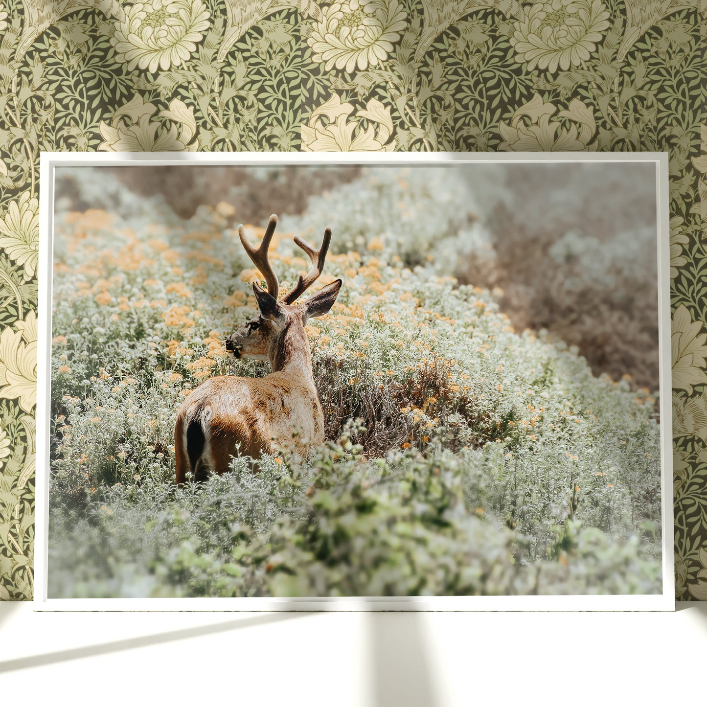 a picture of a deer in a field of flowers