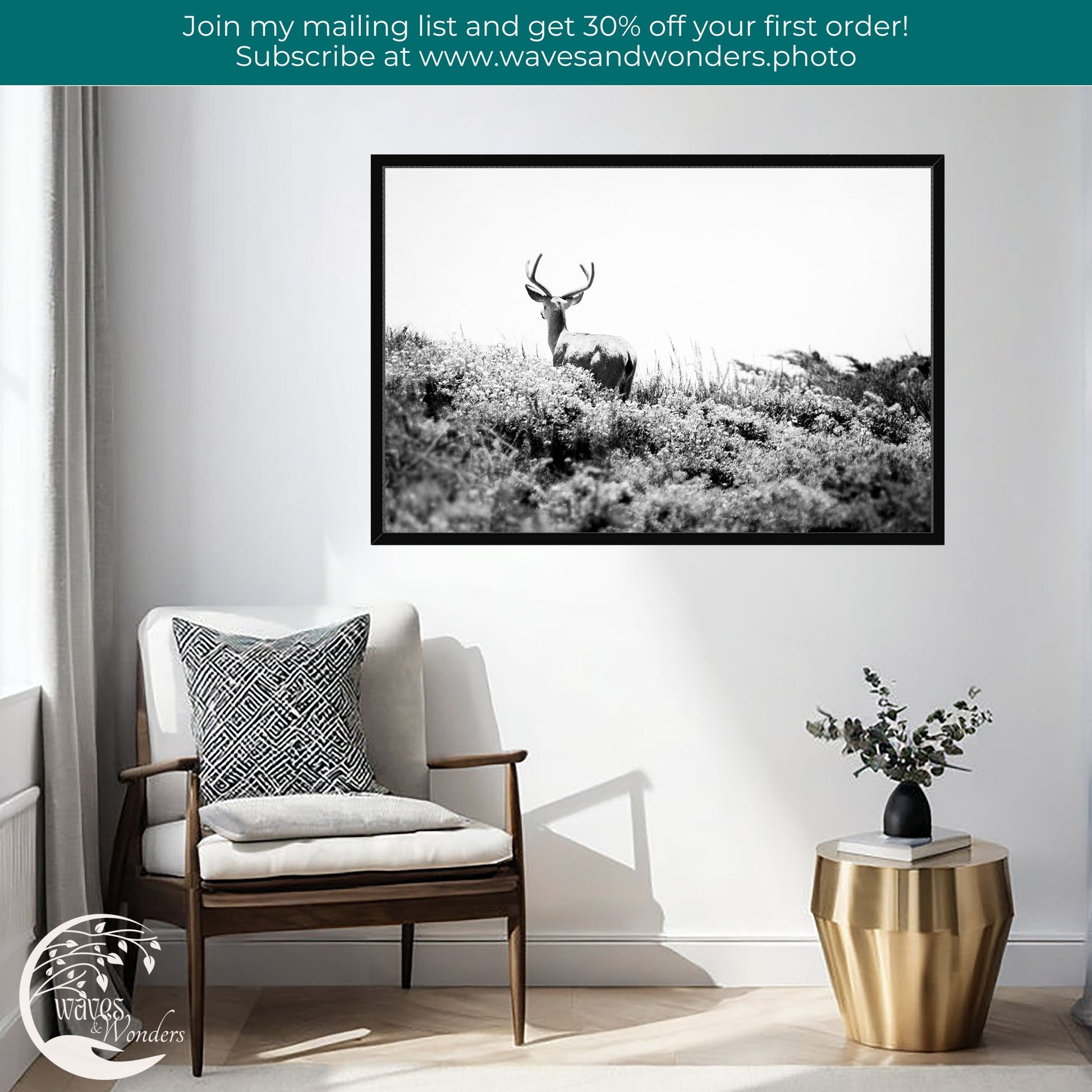 a black and white photo of a deer in a field