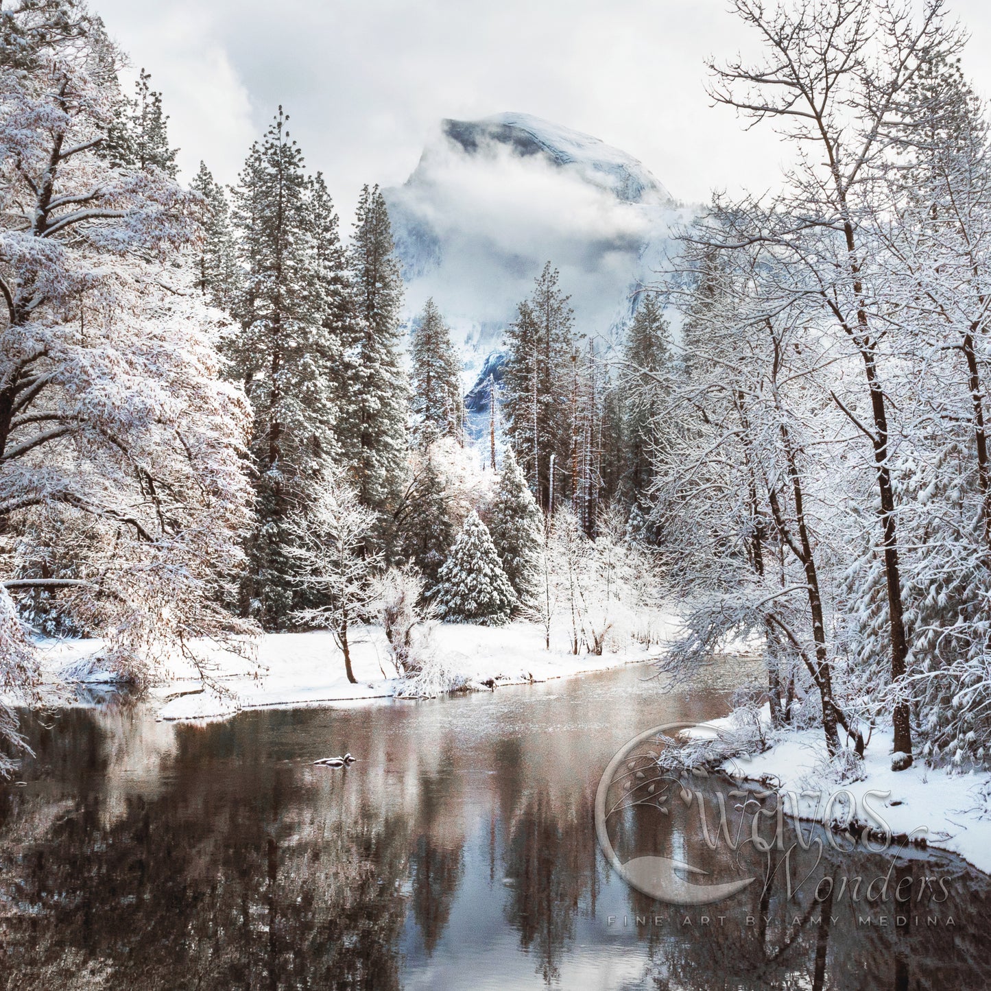 a river surrounded by snow covered trees and a mountain