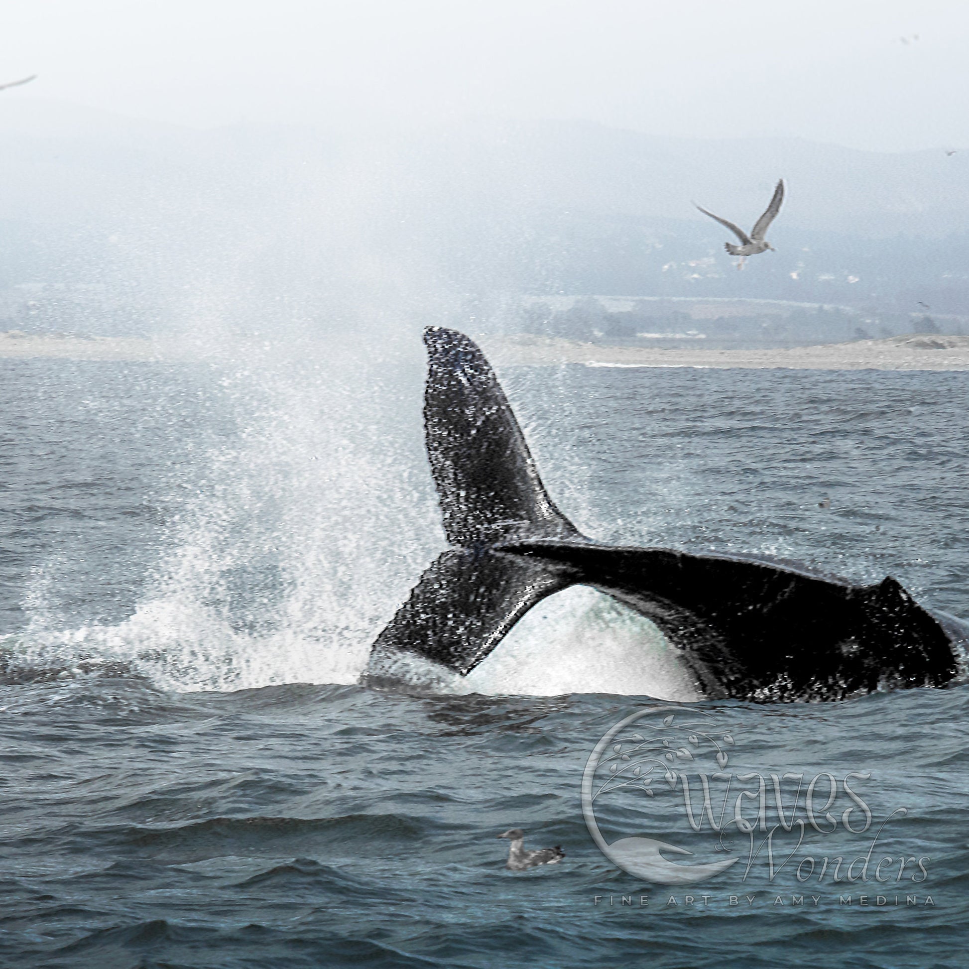 a whale is jumping out of the water