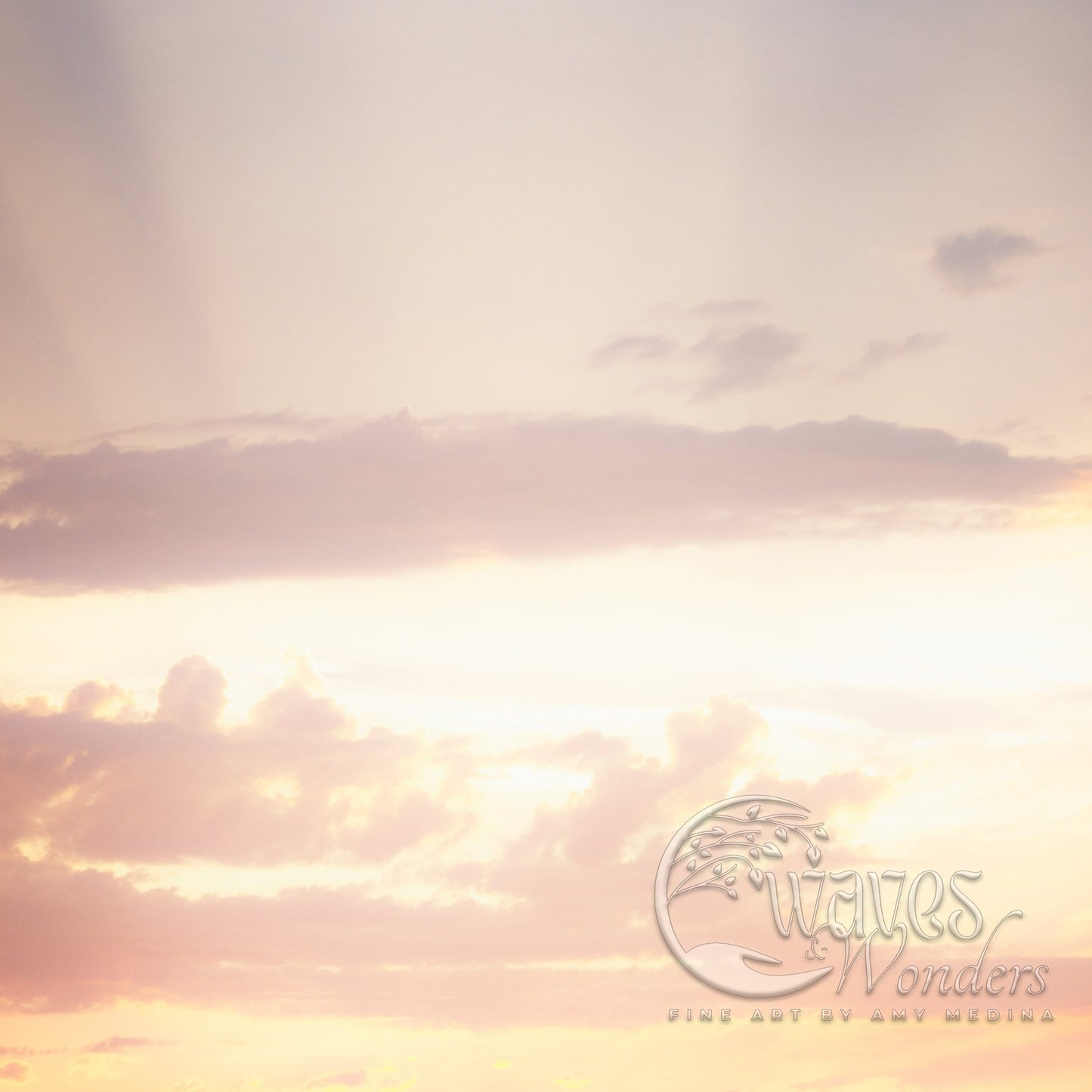 a plane flying in the sky at sunset