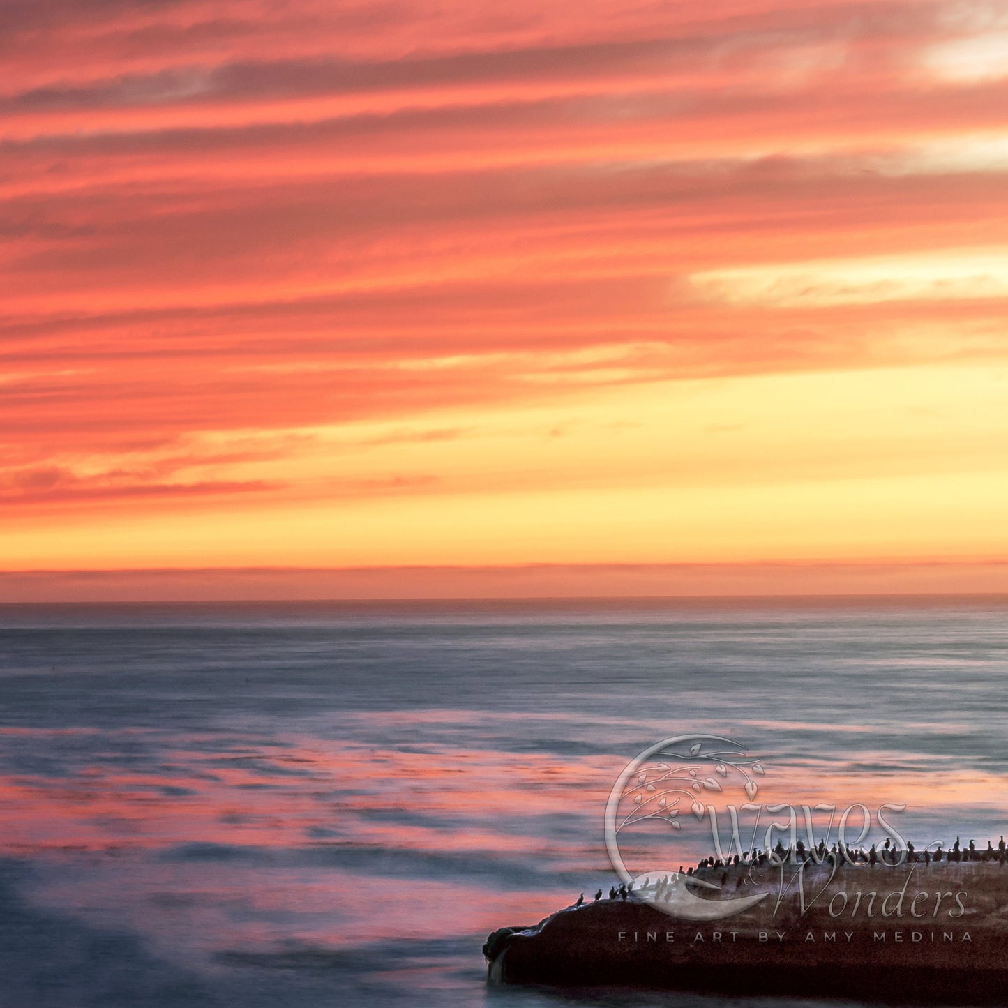 a group of birds sitting on top of a wooden pier