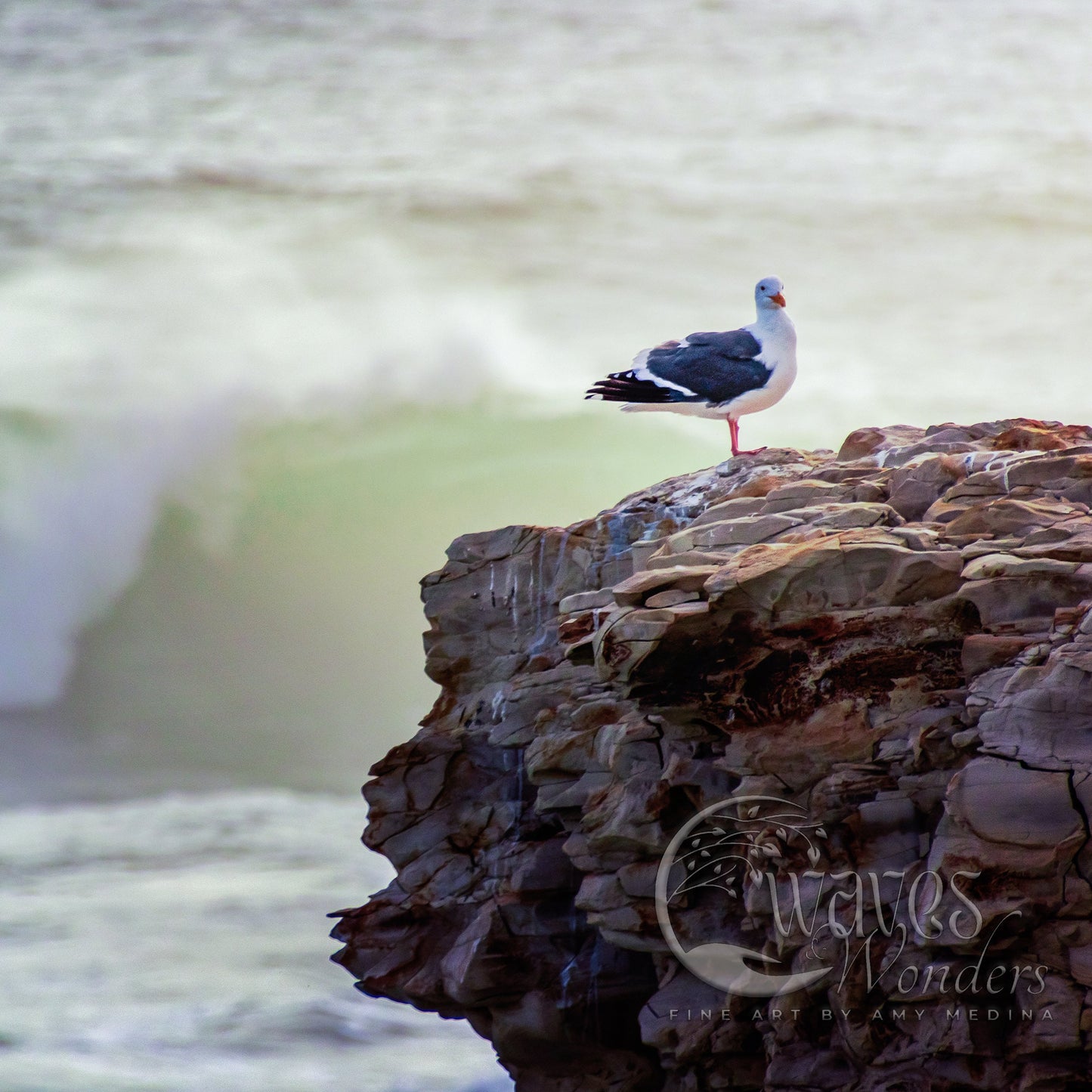 a seagull sitting on a rock next to the ocean