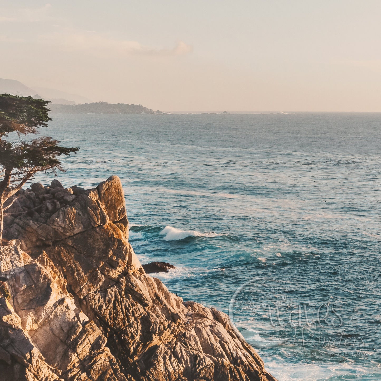 a lone tree on a rocky cliff overlooking the ocean