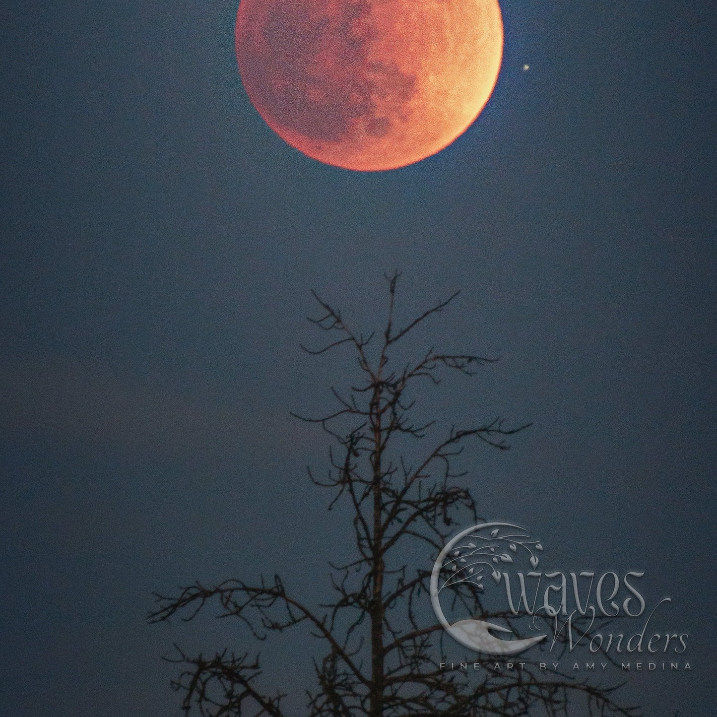 a full moon is seen in the sky above a tree