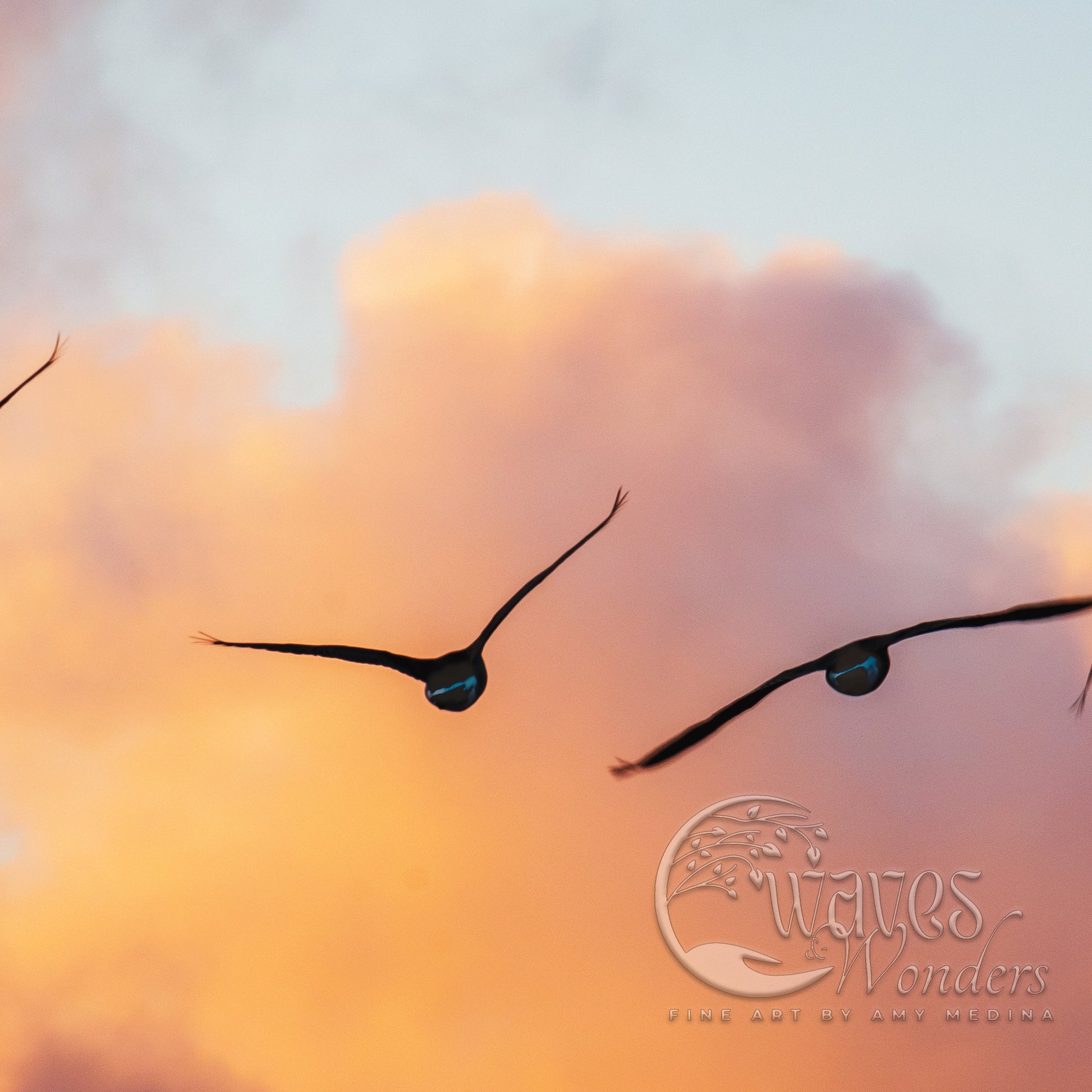 a couple of birds flying through a cloudy sky