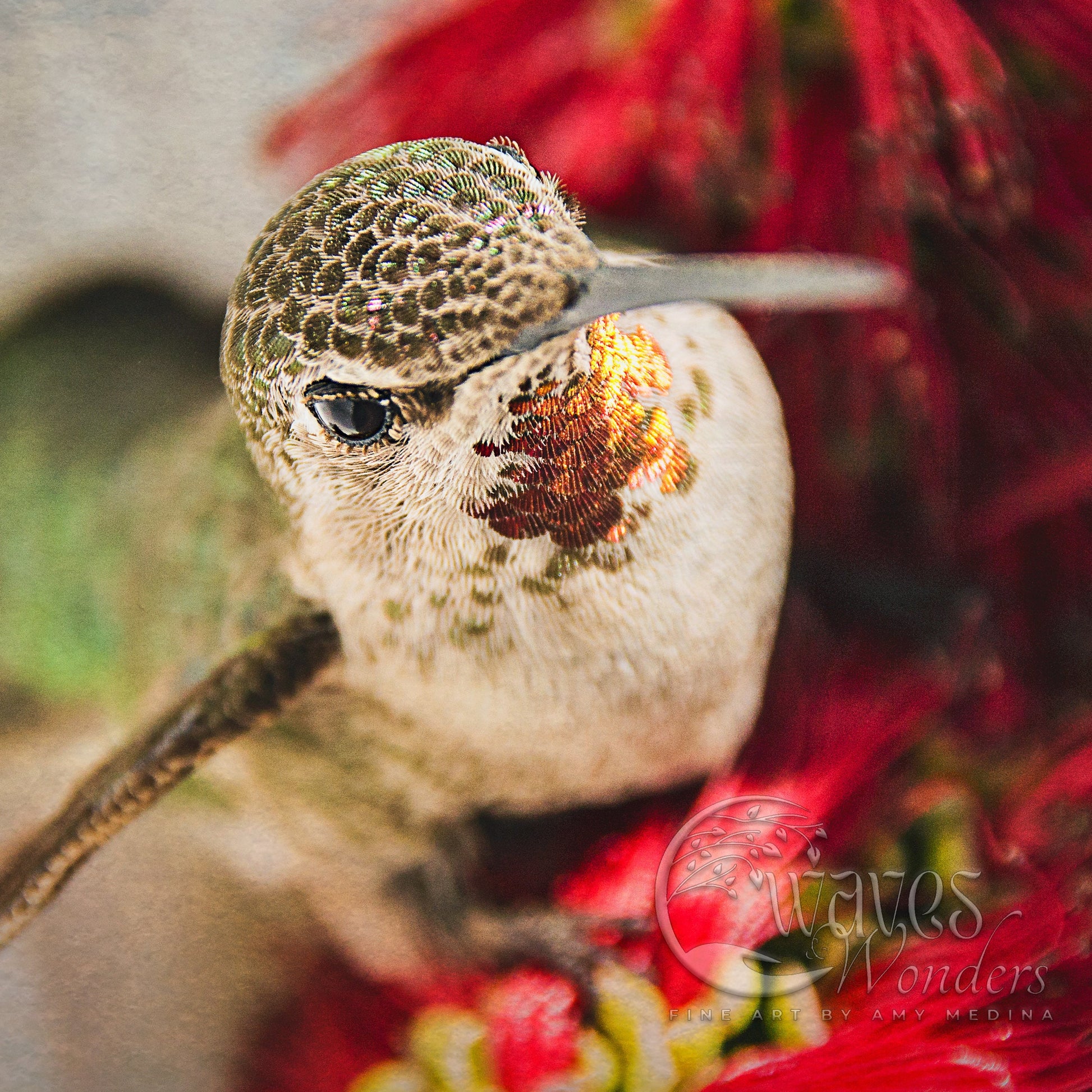 a small bird sitting on top of a red flower