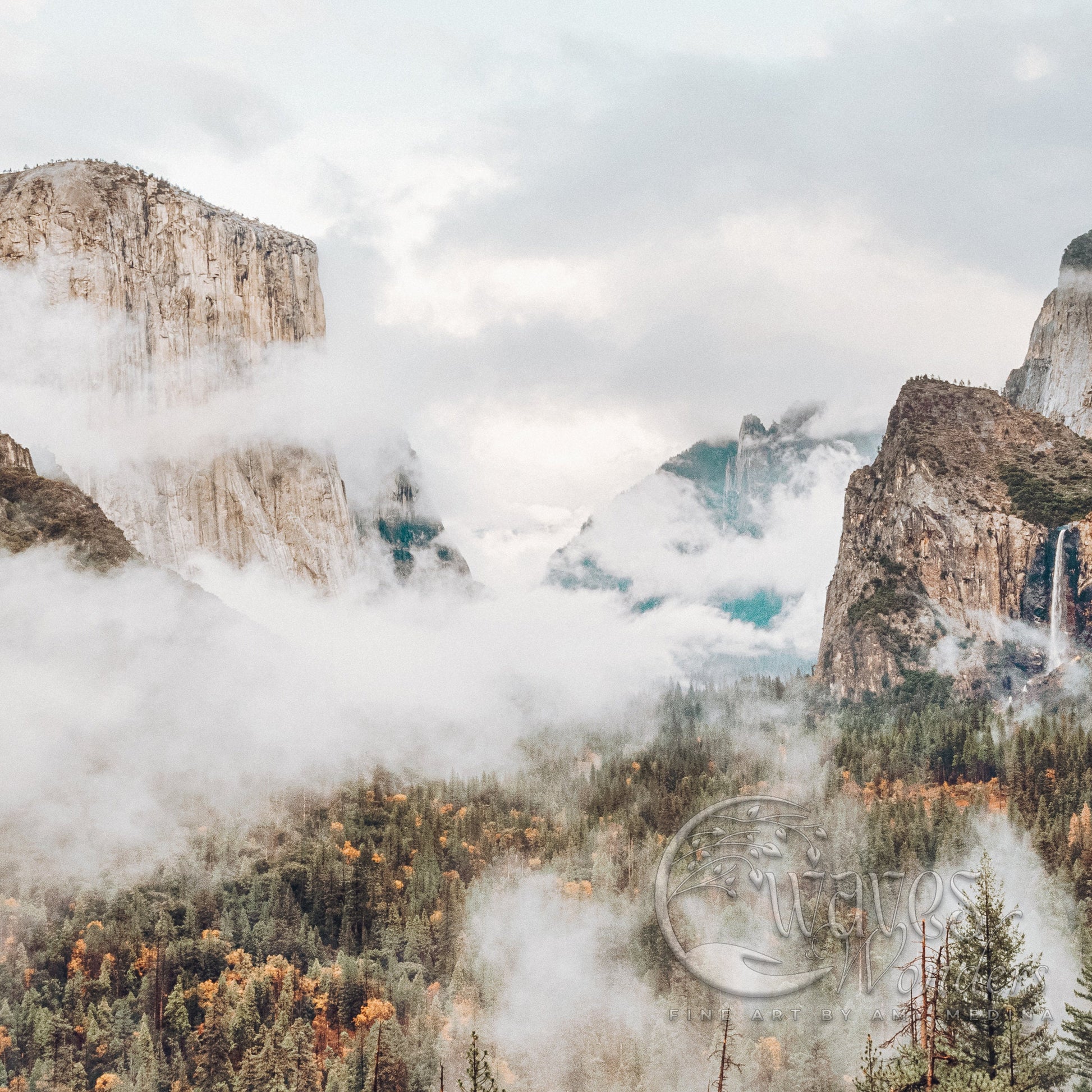 a mountain range covered in clouds and trees