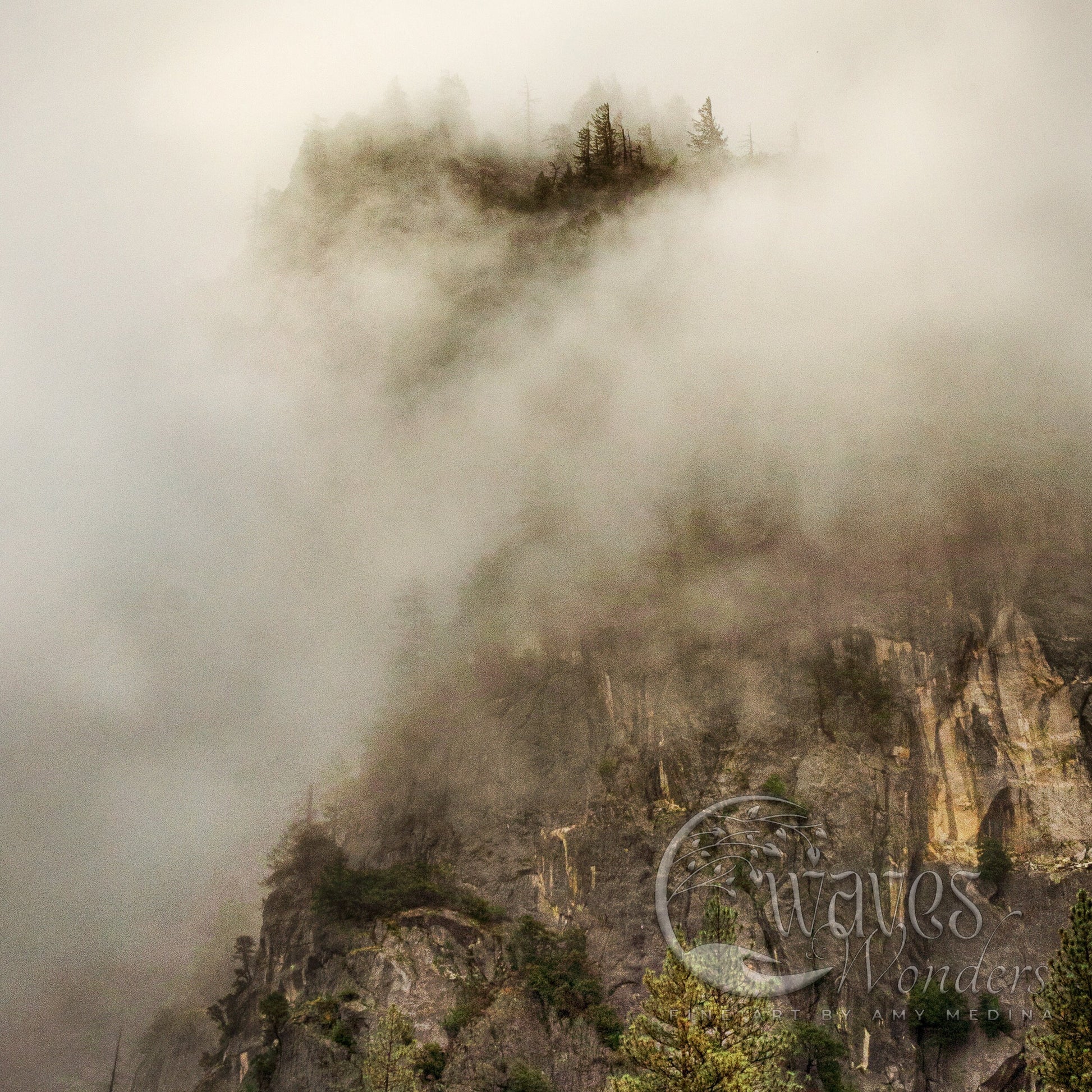 a mountain covered in fog with trees on top of it