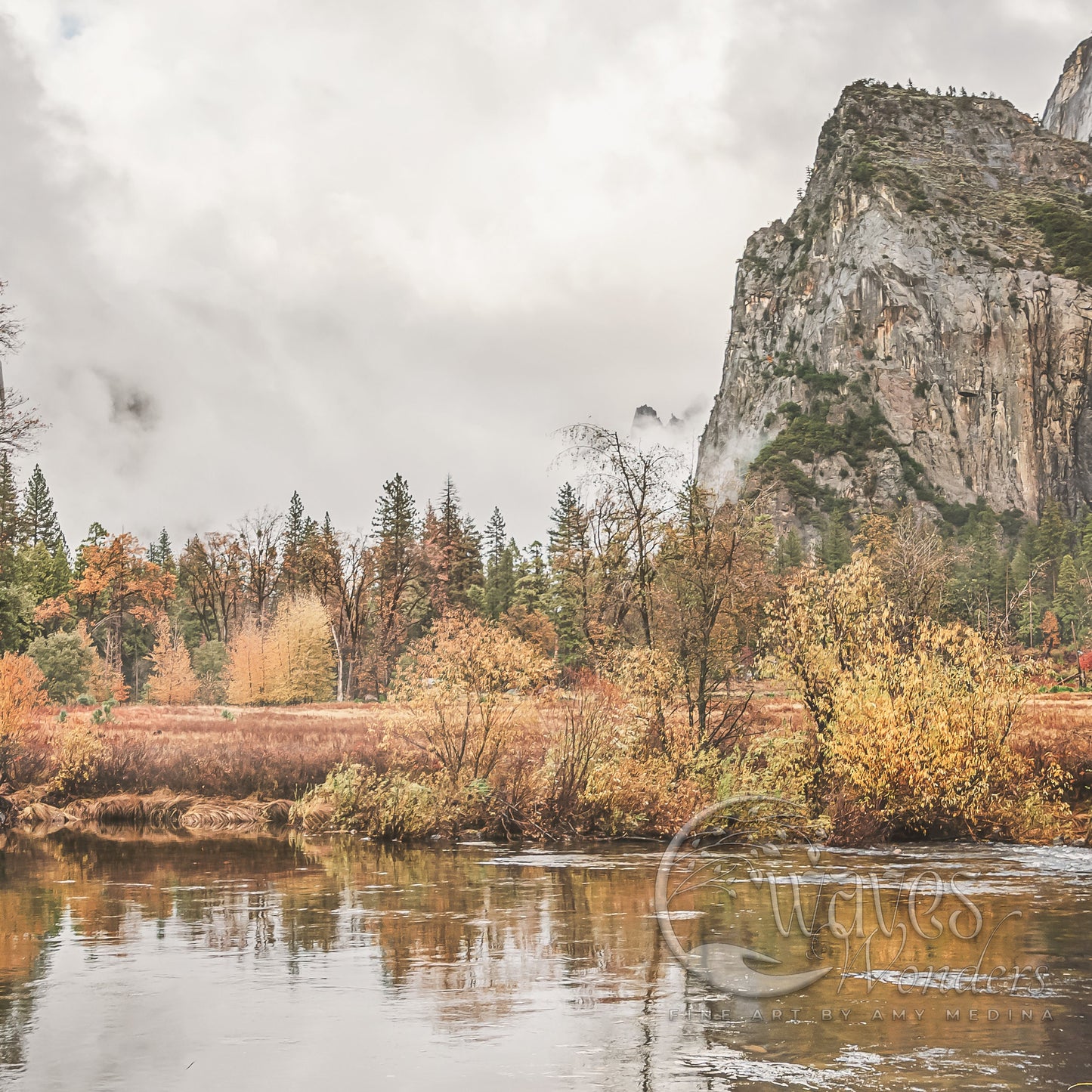 a body of water surrounded by trees and a mountain