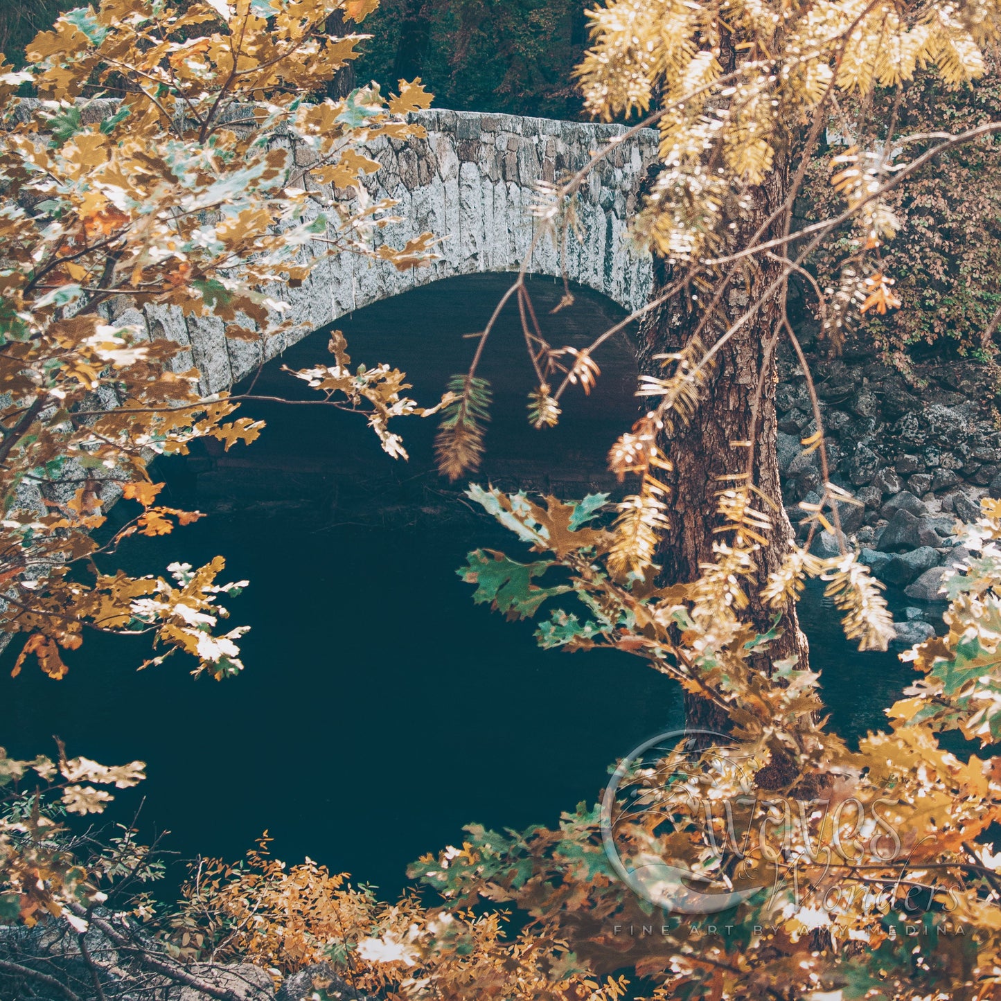 a bridge over a body of water surrounded by trees