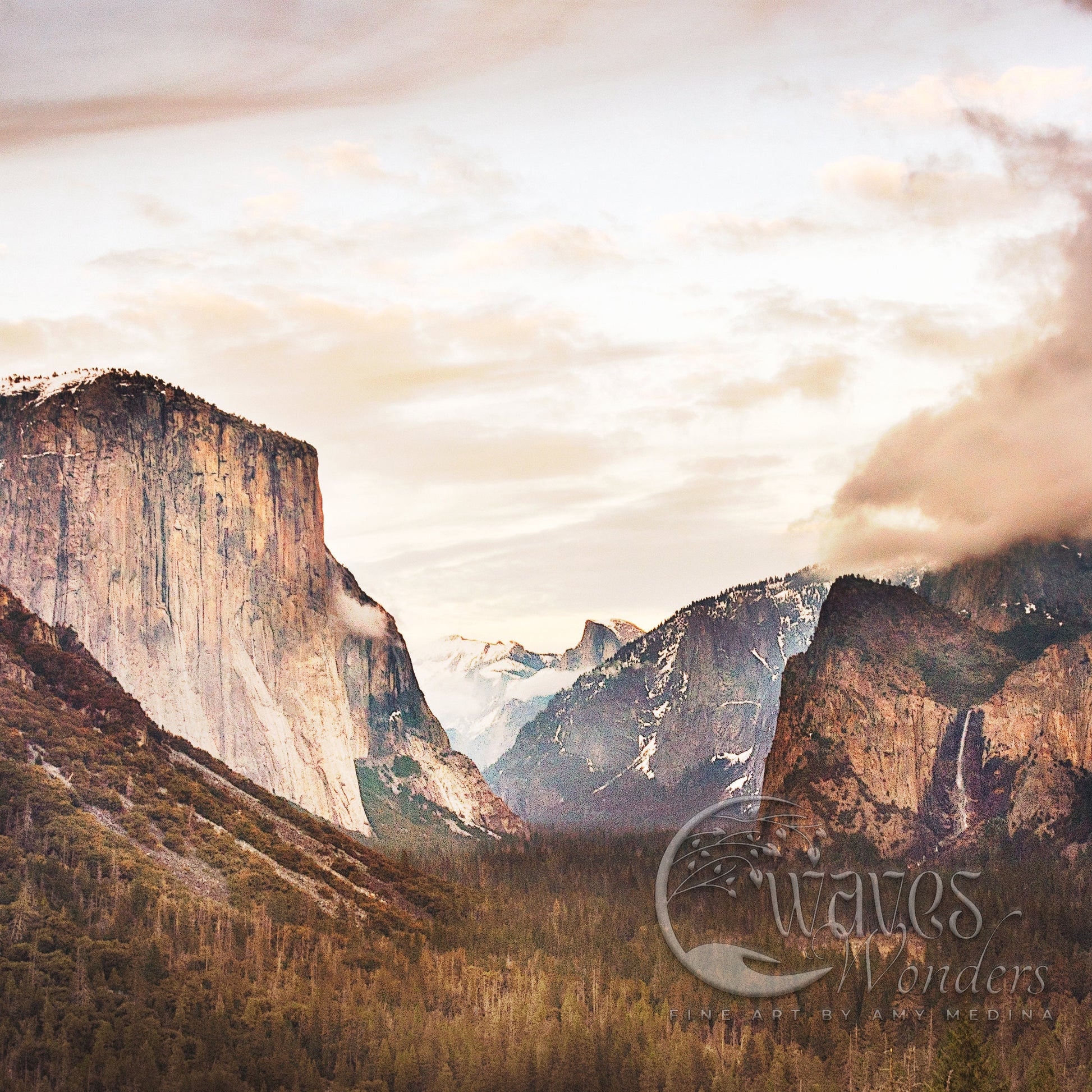 a scenic view of a valley with mountains in the background