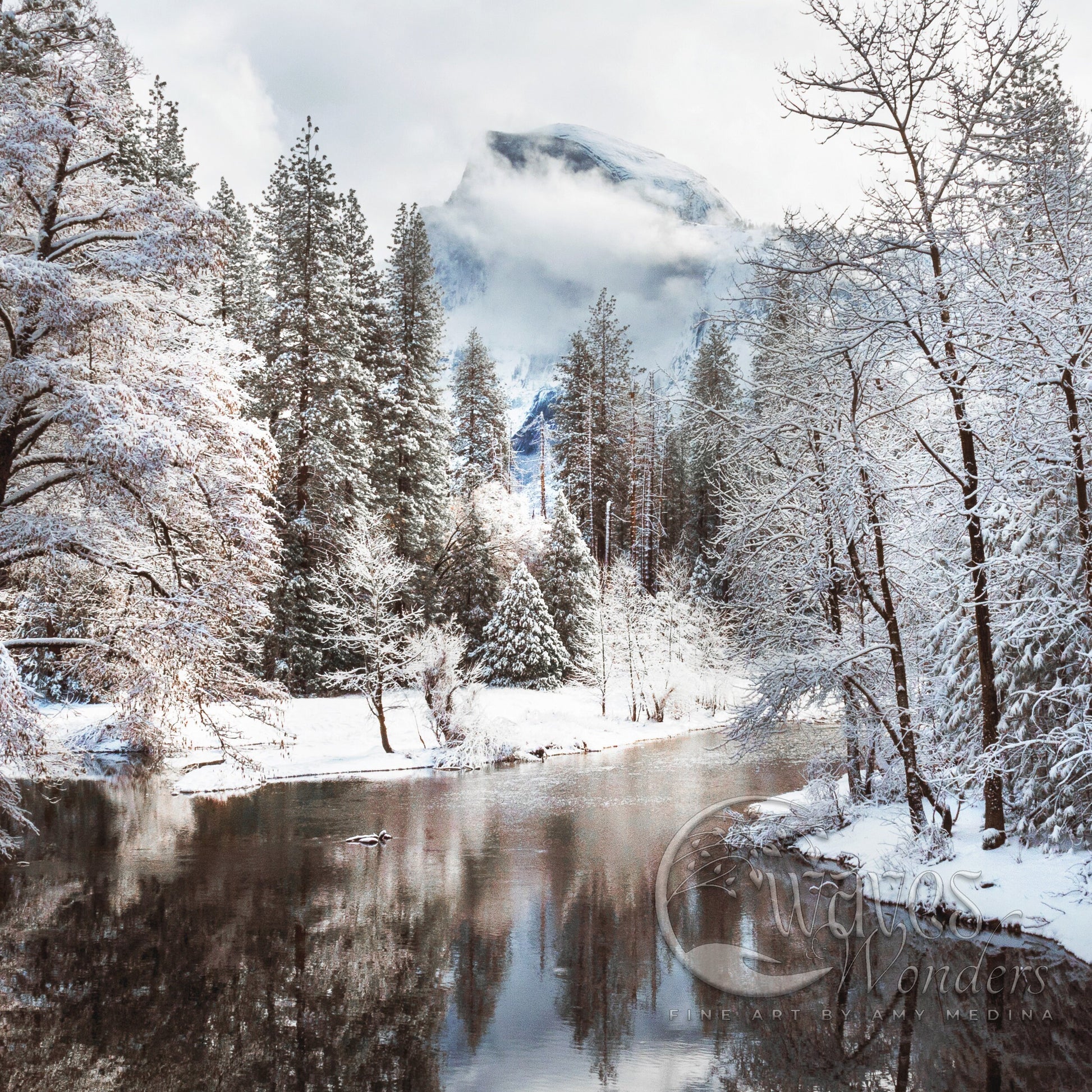 a river surrounded by snow covered trees and a mountain