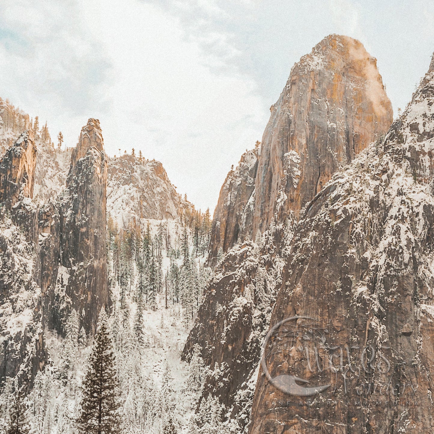 a snow covered mountain with trees in the foreground