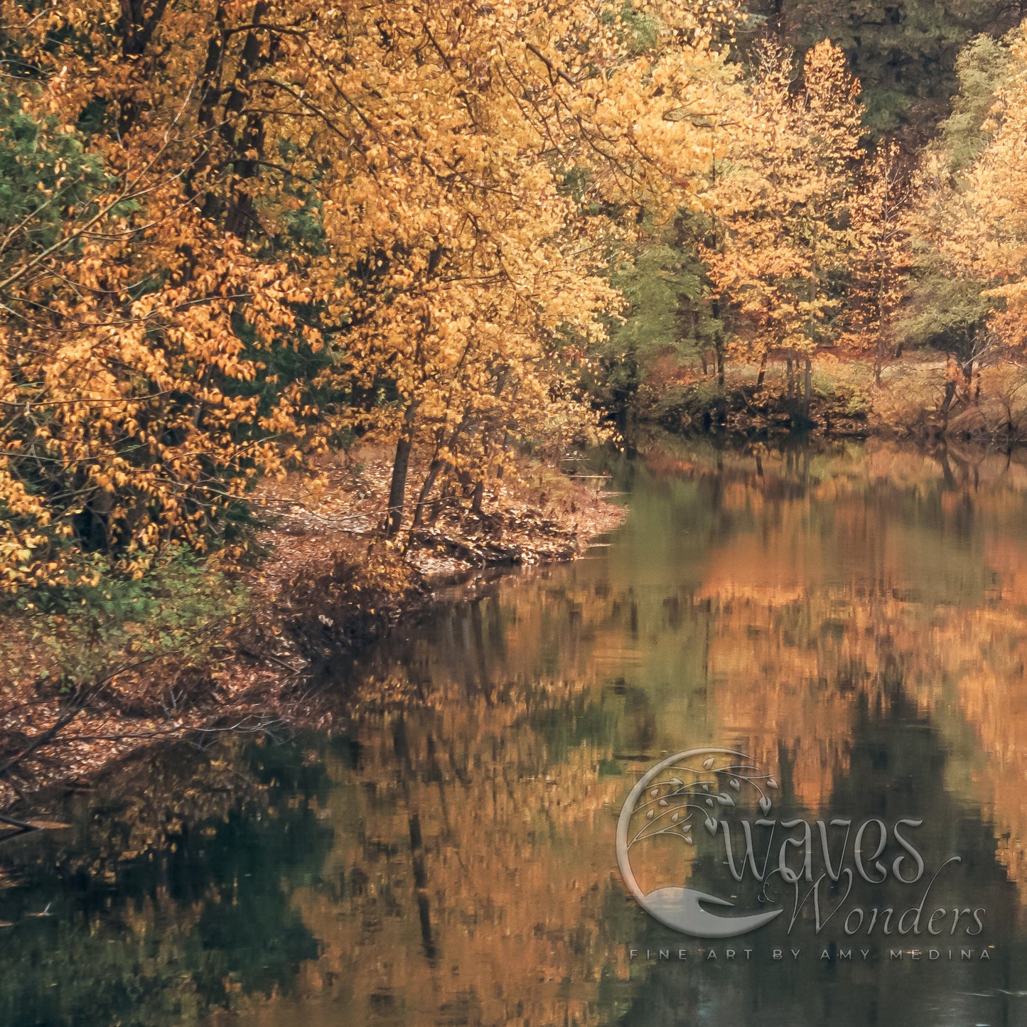 a body of water surrounded by trees with yellow leaves