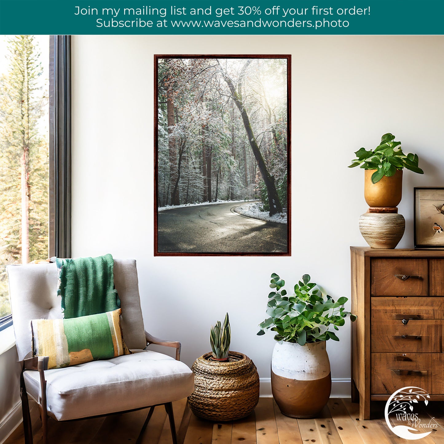 a living room with a chair and potted plants