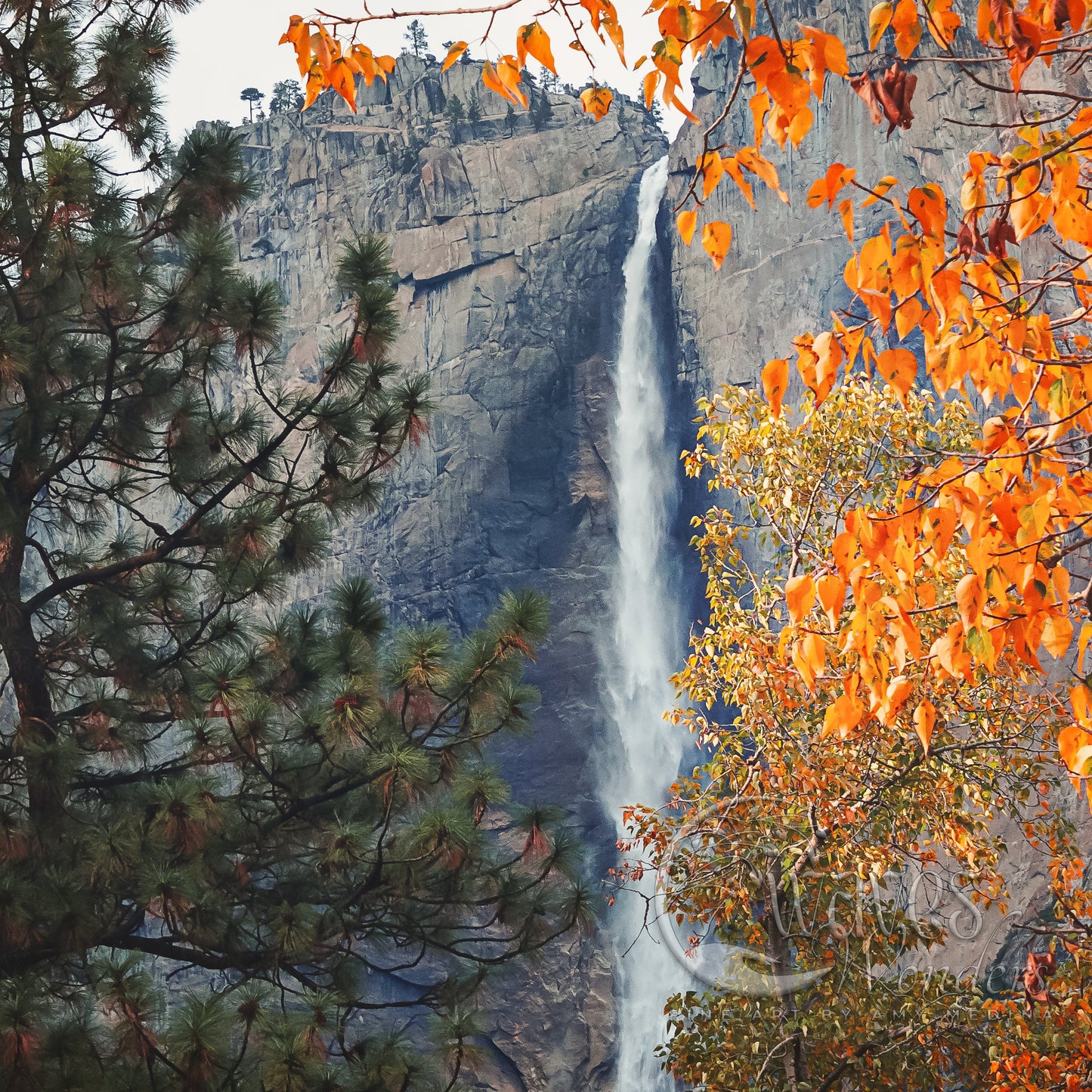 a tall waterfall surrounded by a forest filled with trees