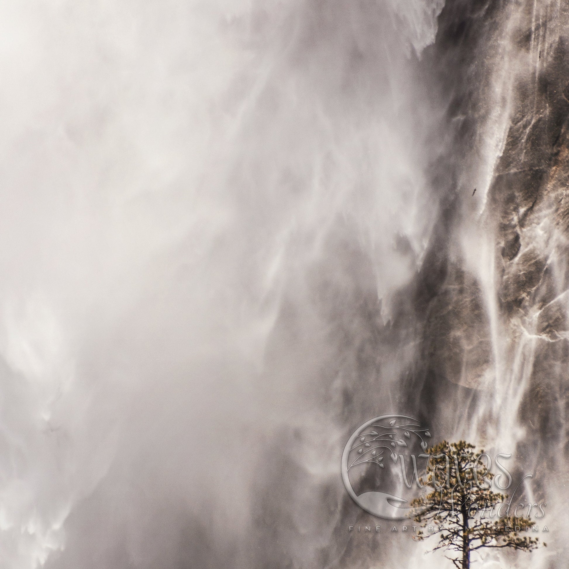 a tree in front of a very large wall of smoke