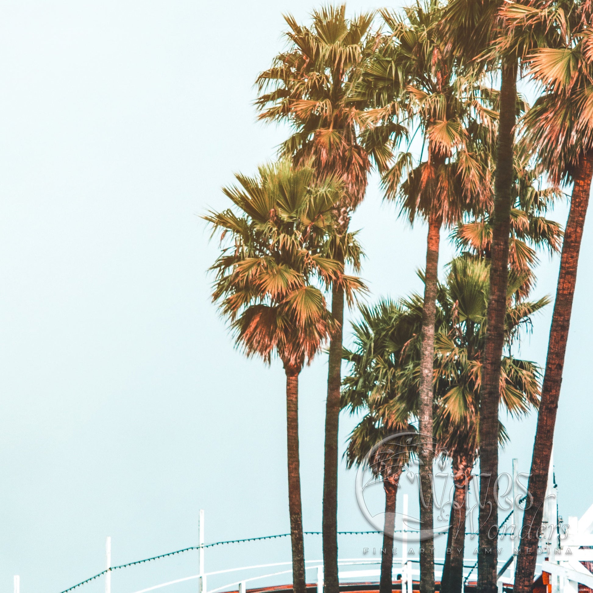 a man riding a skateboard down a ramp next to palm trees