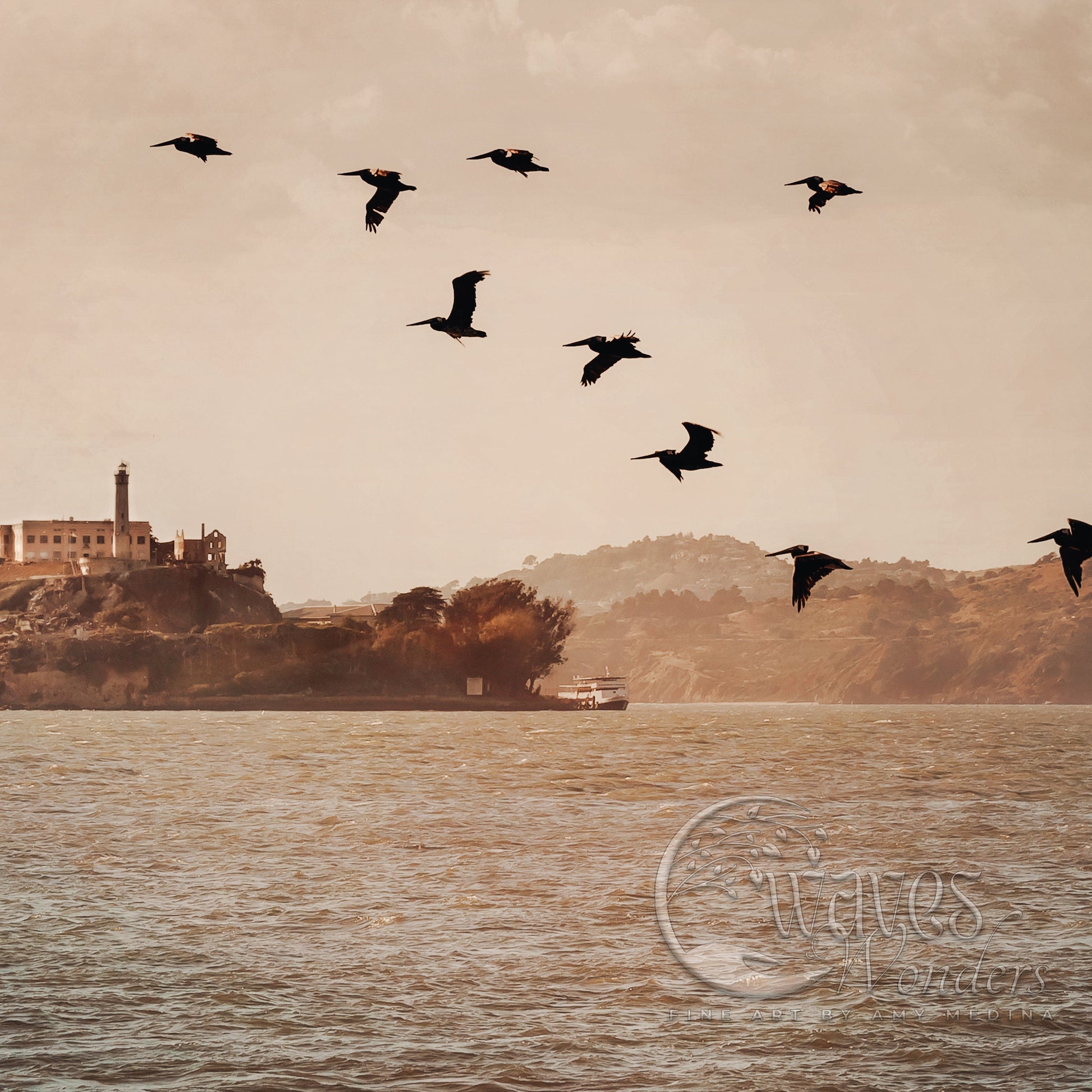 a flock of birds flying over a body of water