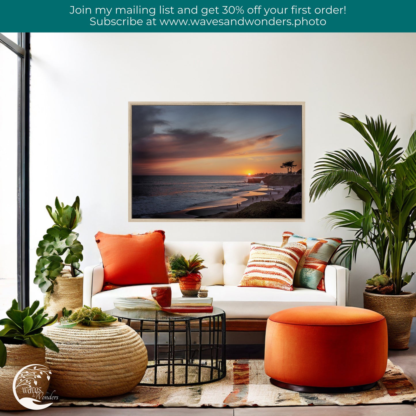 a living room filled with furniture and plants