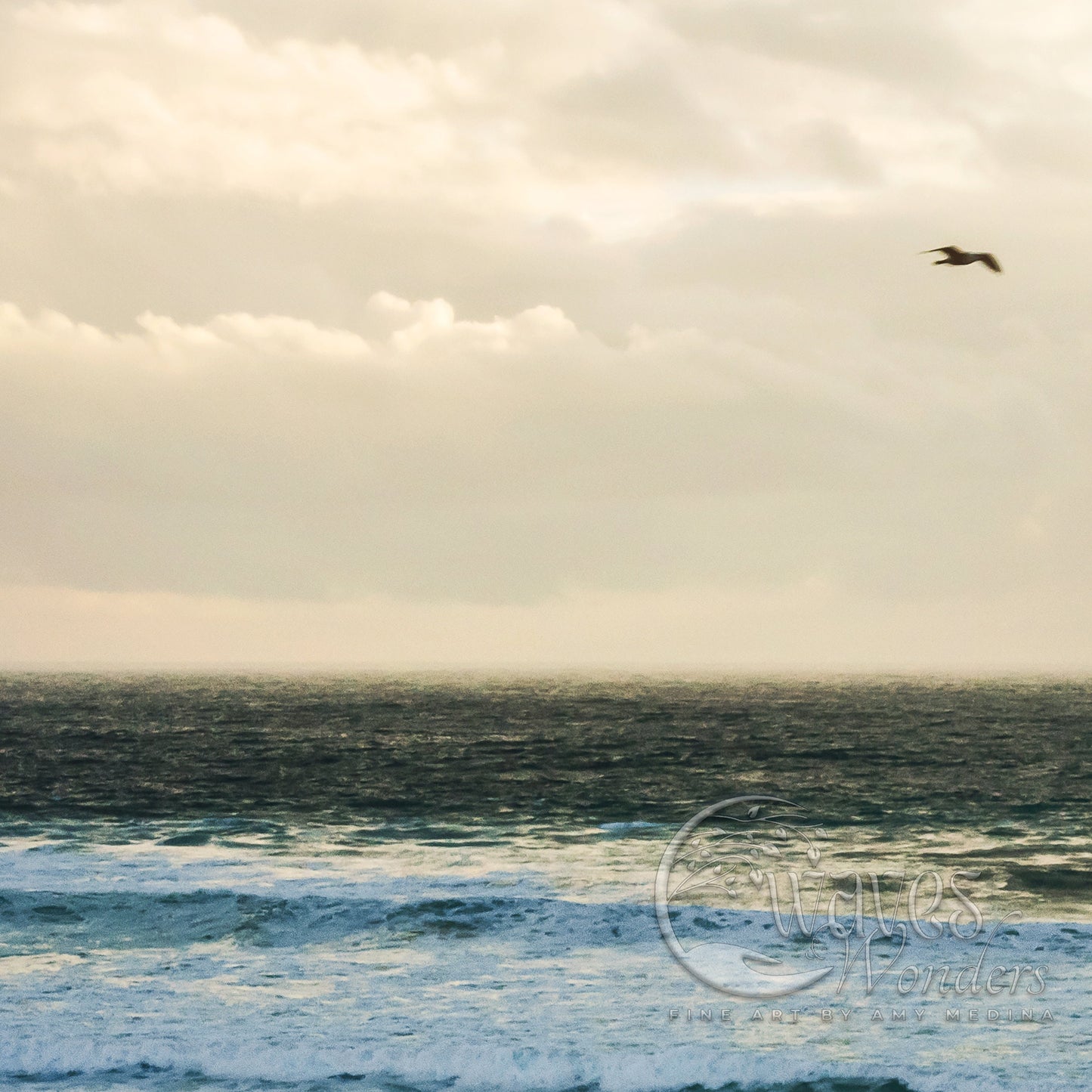 a bird flying over the ocean on a cloudy day