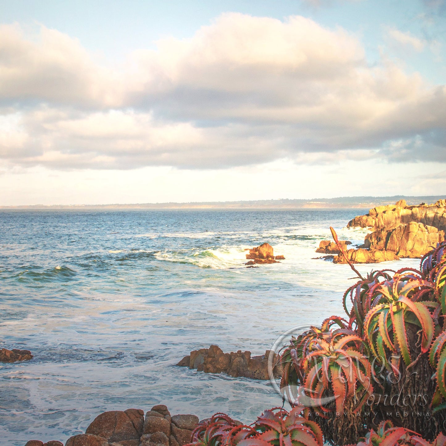 a body of water surrounded by rocks and plants