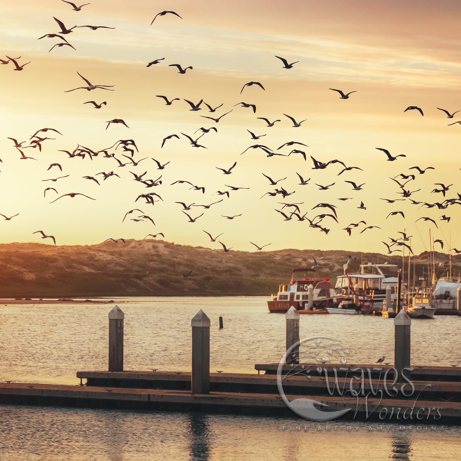 a flock of birds flying over a body of water